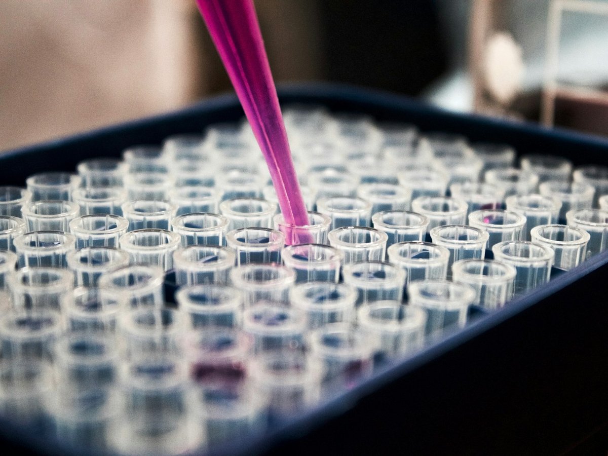 Industria química