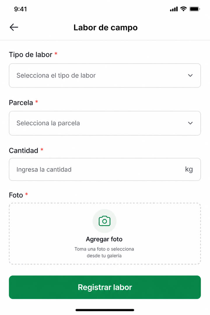 App figho — registro de labor en terreno (Recepción en packing sincronizada con la cosecha)
